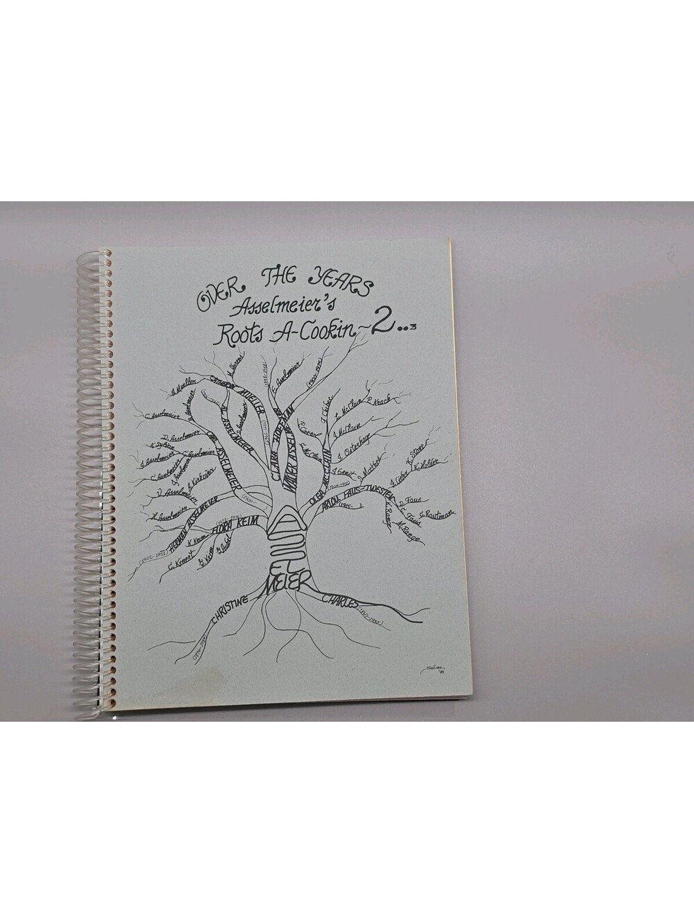 1985 Asselmeier Family Cookbook Roots A-Cookin 2 Genealogy Recipes Spiral Bound